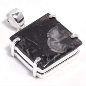 Picasso ammonite Sterling silver pendant